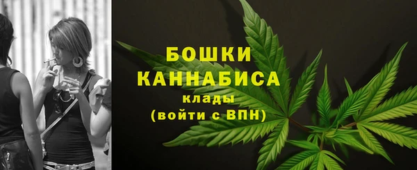 амф Липки